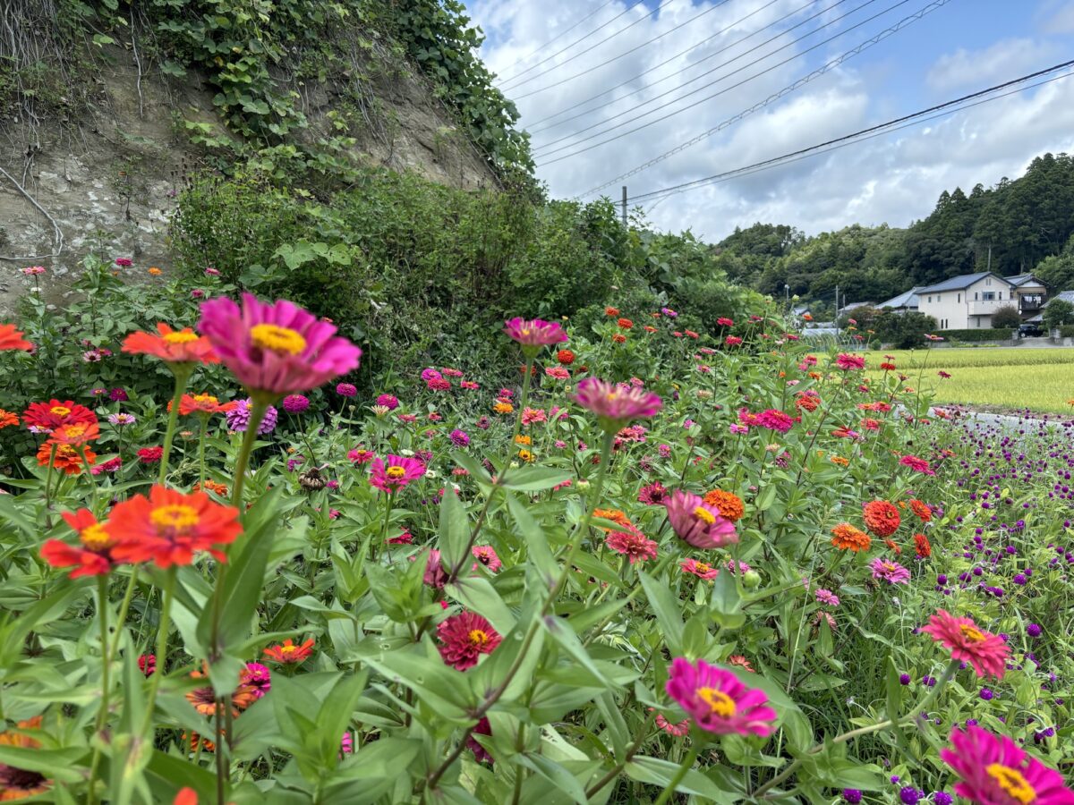 自分らしく生きるとは