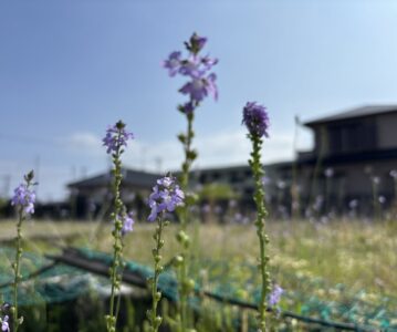 未来の体を作る